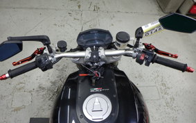 DUCATI MONSTER 1100 EVO 2011