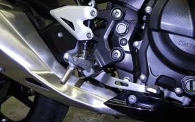 KAWASAKI NINJA 250 2025 EX250P