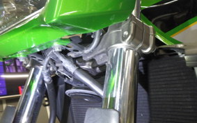 KAWASAKI ZRX1200 D 2013 ZRT20D