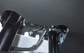 KAWASAKI ZX-4R SE 2025 ZX400P