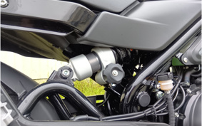 HARLEY X500 2023 W5B