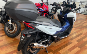 HONDA  FORZA 250 MF15