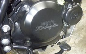 OTHER MUTT250 2024