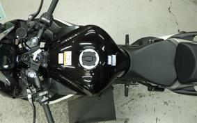 KAWASAKI NINJA 1000 SX 2025 ZXT02K