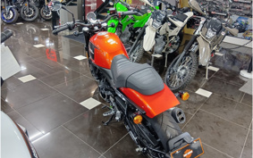 HARLEY X500 2024 W5B