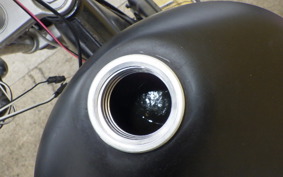 YAMAHA VIRAGO 250 3DM