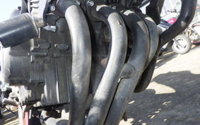 HONDA HORNET 250 MC31