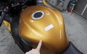 SUZUKI HAYABUSA Gen.2 2010