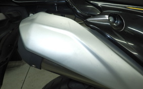 KAWASAKI KLX230 SM LX230A