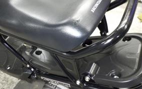 HONDA ZOOMER 2022 AF58