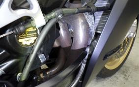 MV AGUSTA SUPER VELOCE 800 2021