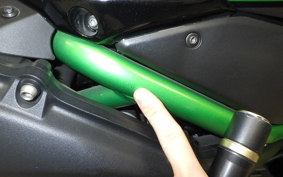 KAWASAKI ZH2 2020 ZRT00K