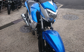SUZUKI GSR250 GJ55D