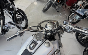 HARLEY FLSTC 2007 BW5