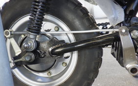 OTHER +UNREGISTERED MODEL by BDS 2022