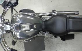 HARLEY FLSTFI1920 2025