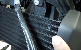BMW R12 2024