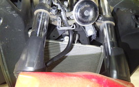 YAMAHA YZF-R25 2018 RG10J