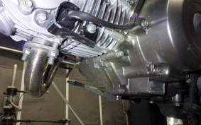 HONDA MONKEY 125 2017 JB03