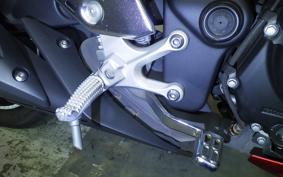 YAMAHA MT-25 2007 RG10J