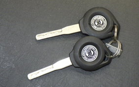 OTHER +ENFIELD ﾒﾃｵ350 2024