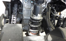 KAWASAKI Z250 EX250P