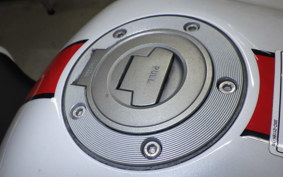 YAMAHA FZ1 FAZER 2009 RN21J