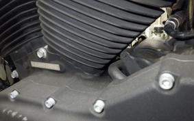 HARLEY XL883N 2009