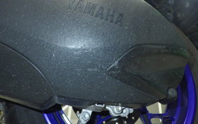 YAMAHA X-MAX 250 2024 SG70J