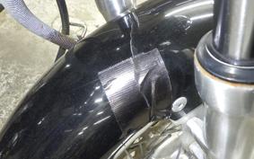 YAMAHA VIRAGO 250 TRIKE 3DM