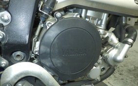 YAMAHA WR250X DG15J