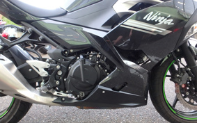 KAWASAKI NINJA 250 EX250P