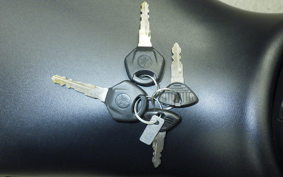 YAMAHA YZF-R25 RG43J