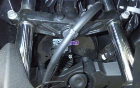 YAMAHA X-MAX 250 SG70J