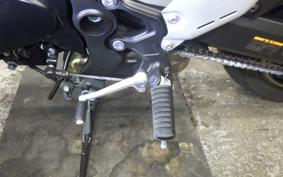 KAWASAKI Z900RS CAFE 2024 ZR900K