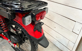 HONDA CT125 HUNTER CUB JA65