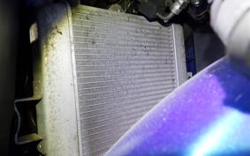 SUZUKI GSX-R125 DL33B