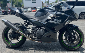 KAWASAKI NINJA 250 EX250P