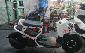 HONDA ZUMAR AF58