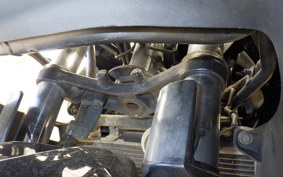 KAWASAKI NINJA 250 EX250L