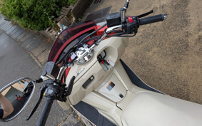 YAMAHA MAXAM 250 SG21J