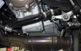 BMW S1000R 2021