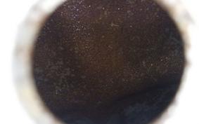 HONDA CBR1100XX 2001