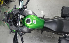 KAWASAKI VERSYS X250Aﾂｱﾗｰ 2005 LE250D