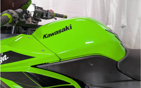 KAWASAKI NINJA 250R EX250K