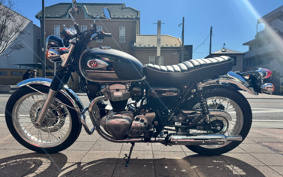 KAWASAKI W800 2024 EJ800E