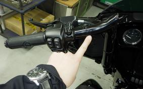 HARLEY FLHXST1920 2022