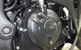 YAMAHA YZF-R25 A 2016 RG10J