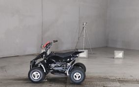 OTHER  BUGGY 50CC ..