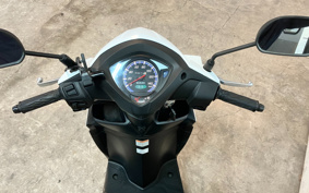 YAMAHA XSR900 2020 RN56J